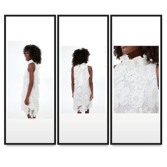 Tuckernuck | NEW Blanc White Guipure Lace Blythe Sleeveless Mini Dress Size M - Picture 2 of 10